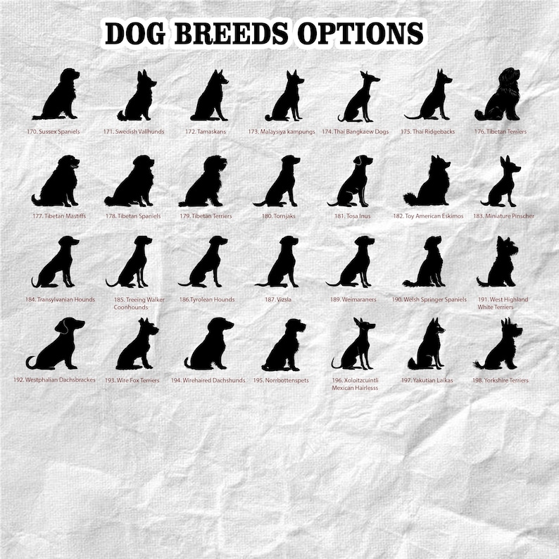 May include: A monochrome graphic displaying dog breed silhouettes, such as Swedish Vallhunds, Thai Ridgebacks, and Miniature Pinschers. The title "DOG BREEDS OPTIONS" is above the images, with breed names and numbers beneath each dog.
