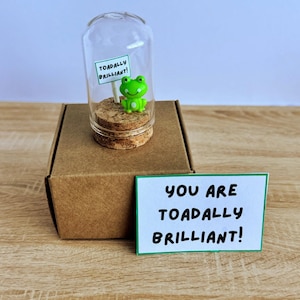 Puede incluir: Un pequeño frasco de vidrio con base de corcho contiene una figura de rana verde que sostiene un letrero que dice "TOADALLY BRILLIANT!". Una tarjeta separada dice "YOU ARE TOADALLY BRILLIANT!". El frasco está sobre una caja de cartón marrón.