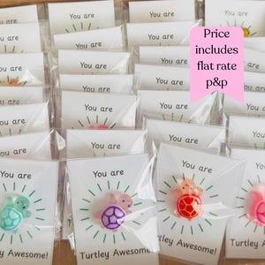 Gepersonaliseerde beloningscadeau leraar-leerling - geweldige minischildpad!