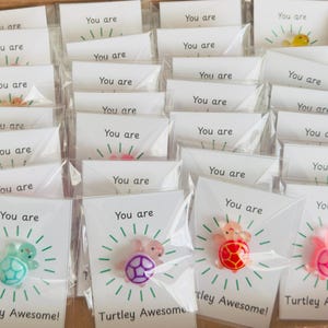 Personalised Teacher to Pupil Class Reward Gift - Turtley Awesome Mini ...