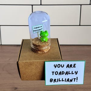 Frog Pet in a Jar: Novelty Gift Mini animal toadally brilliant