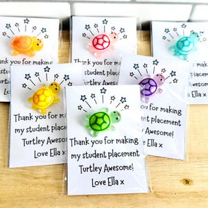 Cadeau de départ personnalisé avec mini tortue en résine – Coffret cadeau Team Token – remerciement pour le stage étudiant