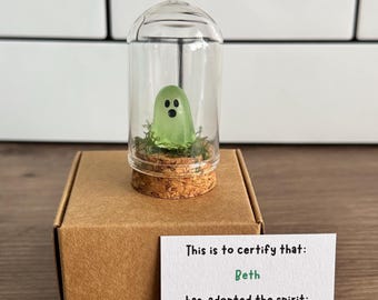 Ghost in a Jar - Personalised Pet Spirit - packaged and ready to gift