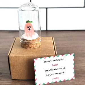 Mini pink Christmas ghost figurine named Jingles in a glass dome with snow and gold stars, displayed on a black gift box next to a certificate card that says “Sophie has adopted the Christmas spirit Jingles.” Cute and unique holiday gift, Christmas decor, or stocking stuffer with festive background and pine branch.