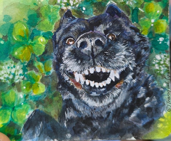Pet Portraits Commission Open