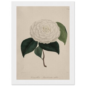 Poster in carta opaca di alta qualità con cornice in legno 13x18 cm / 5x7″