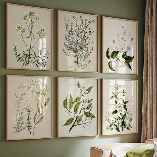 Botanical Prints Set of 6 - Etsy