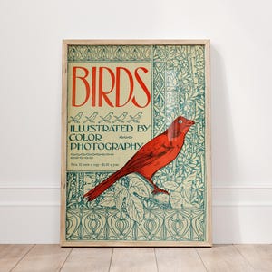 Stampa di uccelli con pagina di libro vintage, stampa di uccelli in stile Art Nouveau, arte murale vintage con animali, stampa di libri sulla natura retrò, poster vintage, arte murale vintage