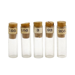  12 Pack Small Glass Cork Bottles, 100 ml/ 3.4 oz, Small Glass  Jars Spell Jars Clear Potion Bottles Mini Glass Bottles with Cork Bottle  Bright DIY Sand Water Message Decorative Jar