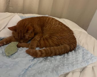 Manta para gatos consentidos / Cama suave y acogedora para gatitos / Manta lavable hecha a mano para gatos, gatitos y perros pequeños