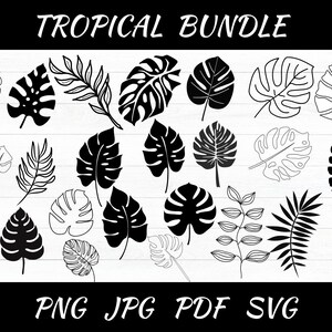Puede incluir: Un conjunto de 20 ilustraciones de hojas tropicales en blanco y negro. Las ilustraciones incluyen varios tipos de hojas, como monstera, palma y helecho. El texto "TROPICAL BUNDLE" está en la parte superior de la imagen. El texto "PNG JPG PDF SVG" está en la parte inferior de la imagen.