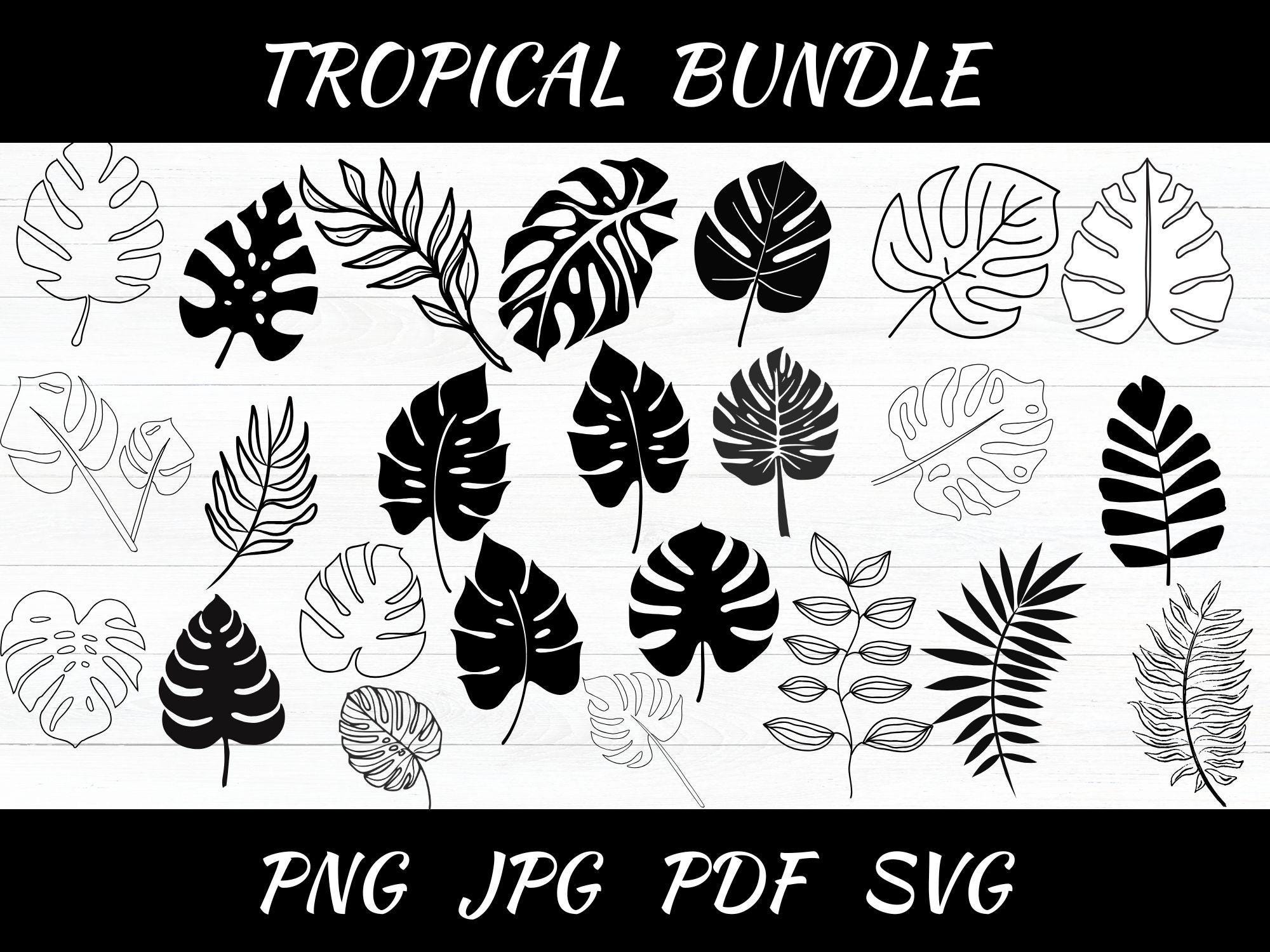 TROPICAL SVG Bundle Jungle Floral SVG Monstera Banana Leaf Palm Leaf ...