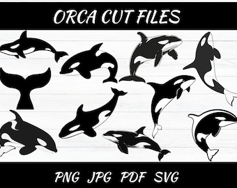 Pliki Orca Cut - SVG, PNG, JPG - Użytek komercyjny, Cyfrowy plik do cięcia, Clipart Orca, Pobieranie cyfrowe, Natychmiastowe pobieranie, Orka, Orca SVG