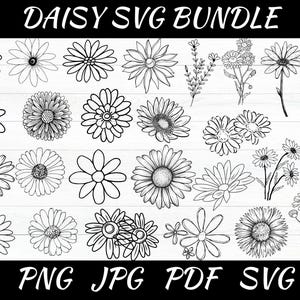 May include: A set of 20 black and white daisy flower illustrations. The illustrations are in a variety of styles, including simple outlines, detailed drawings, and stylized designs. The text "DAISY SVG BUNDLE" is at the top of the image, and the text "PNG JPG PDF SVG" is at the bottom of the image.
