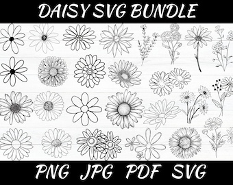 Daisy SVG Bundle: Flower Clipart, Vector Cut File (Digital Download)
