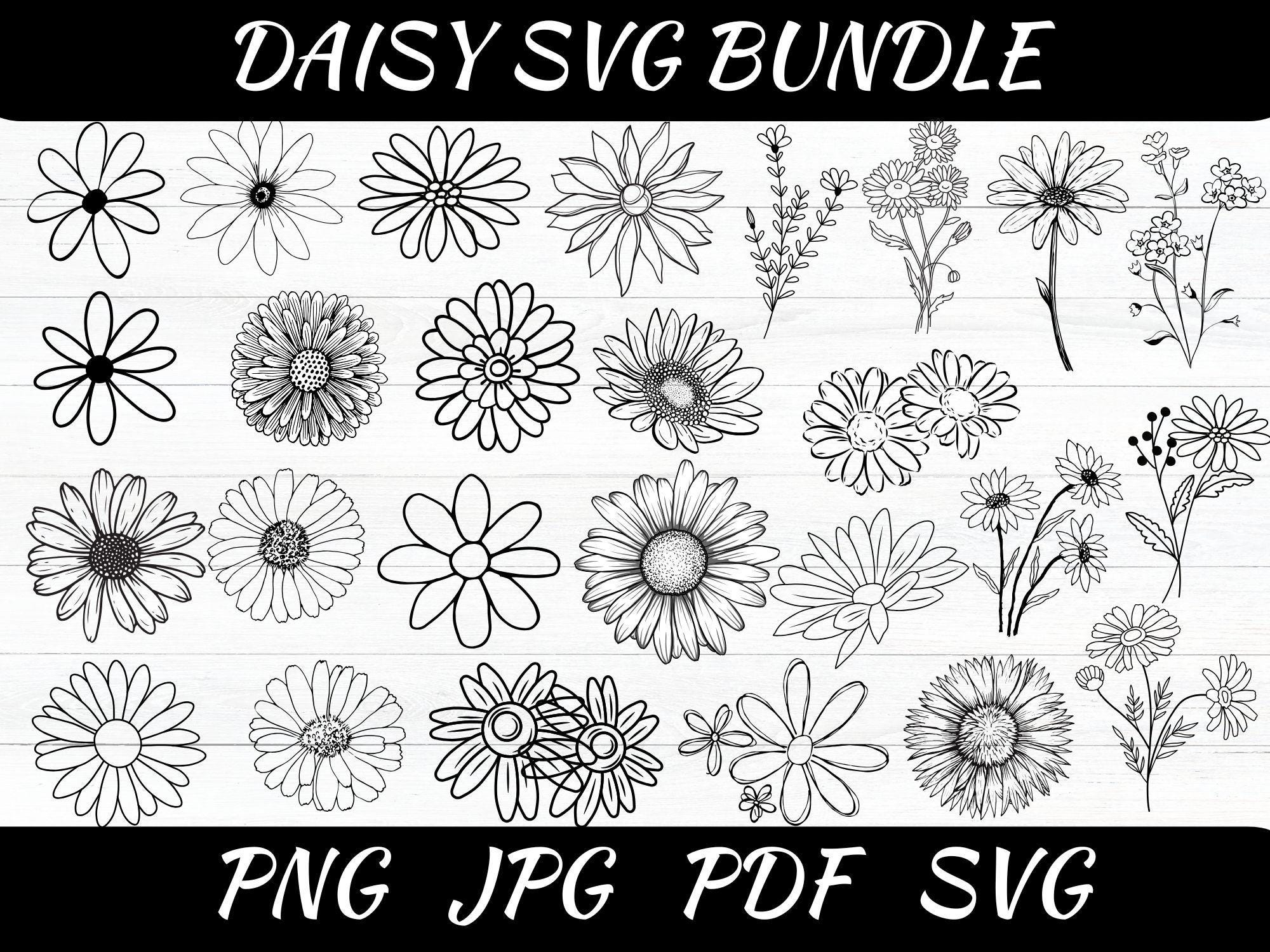 Daisy Name With Daisy Svg - Etsy