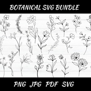 Botanical Svg Bundle Cut File, Floral,Flower leaf,leaves ,Botanical clipart hand drawn doodle style svg,png,Jpg, for cricut