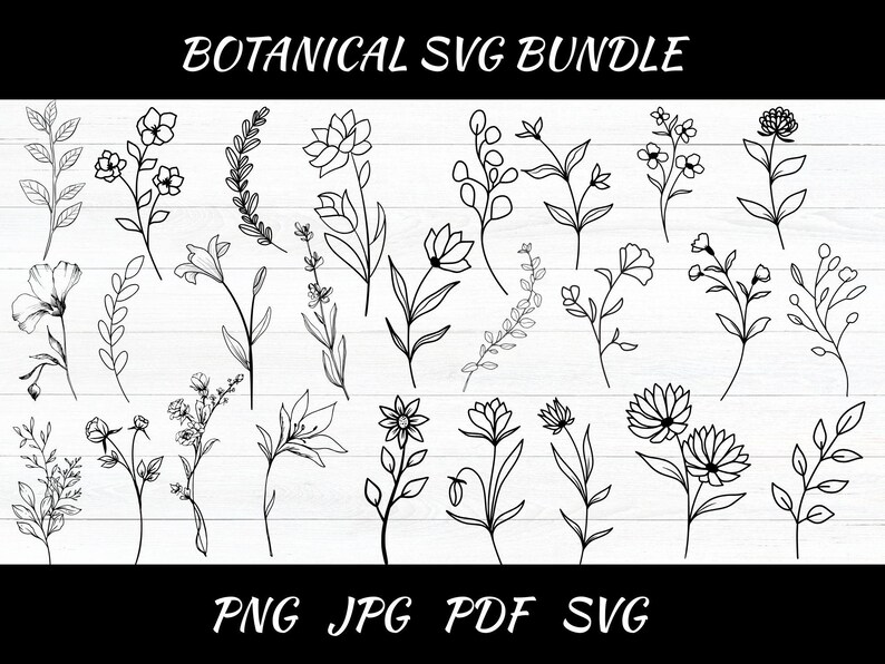 Botanical SVG Bundle: Hand-drawn Floral Clipart (digital Download) - Etsy