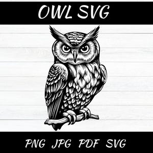 Hibou SVG, hibou PNG, vecteur de hibou, chouette silhouette - téléchargement numérique svg, dxf, png, pdf, fichiers svg pour cricut