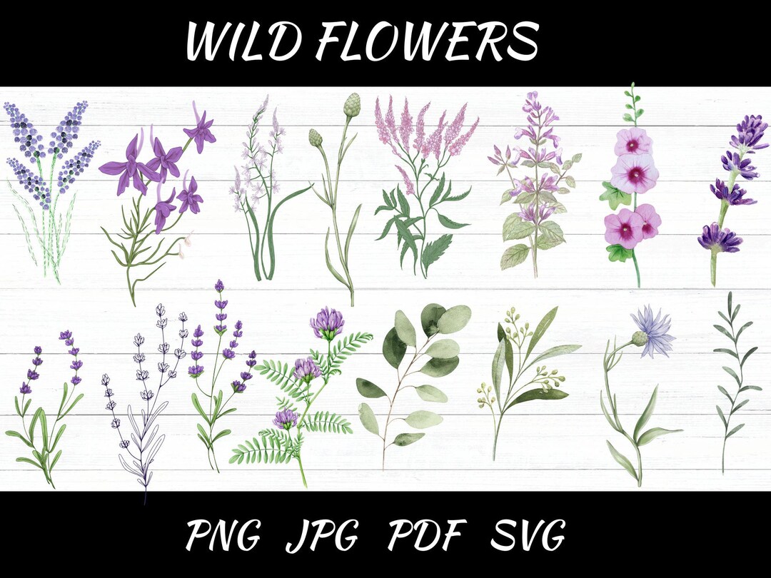 Wild Flowers Svg Design, Floral Botanical Mini Wildflower Pattern ...