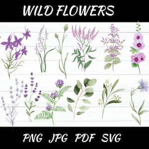 Wild Flowers svg Design, Floral Botanical Mini Wildflower Pattern Instant Download,svg,png,jpg,pdf