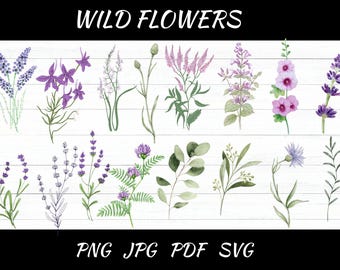Wilde bloemen svg ontwerp, bloemen botanische mini wilde bloemen patroon direct downloaden, svg, png, jpg, pdf
