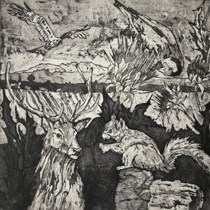 Fauna selvatica di Comrie