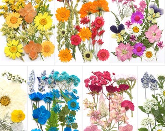 A Pack Of 12-40 PCS Dried Pressed Flowers And Leaves, Wedding Card Making, Floral Arrangement, Mini Dried Flowers For Resin Projects