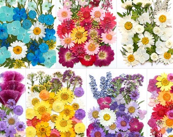 A Pack of 12-40 PCS Dried Pressed Flowers And Leaves For Resin, Dried Flowers Art, Earring Making, Real Flower Bookmark, Frame Decoration