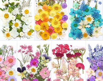 A Pack of 12-40 PCS Dried Pressed Flowers and Leaves for Resin, Resin Supply, Wedding Card Making, Floral Arrangement, Frame Decoration