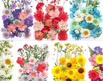 Dried Pressed Flowers And Leaves, Dried Greenery, Pressed Flower For Resin Jewelry, Flowers For Coasters, Dried Flower Art