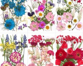 A Pack of 12-40 PCS Dried Pressed Flowers and Leaves for Resin, Resin Supply, Wedding Card Making, Floral Arrangement, Frame Decoration
