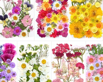 A Pack of 12-40 PCS Dried Pressed Flowers and Leaves for Resin, Resin Supply, Wedding Card Making, Floral Arrangement, Frame Decoration