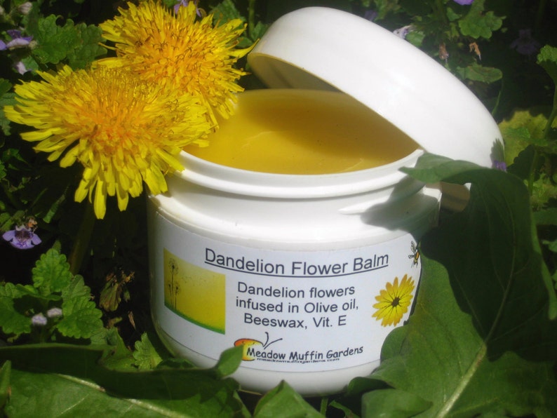 Dandelion Flower Balm, Breast Massage, Muscles, Chapped Skin image 1