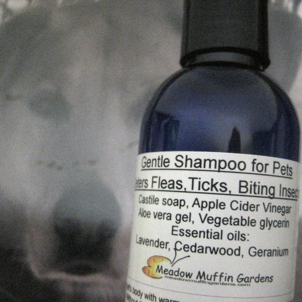 Pet Shampoo, Fleas, Ticks, Gentle Bath, Dogs, Cats, Soothing Bath Skin Care