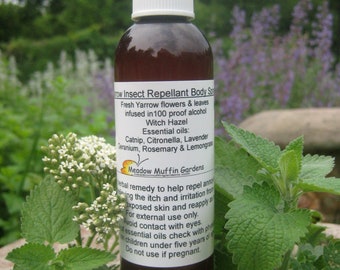 Yarrow, Catnip Body Spray for Bugs, Alcohol Tincture, Essential Oils, Camping, Gardening, Hiking, Outdoors