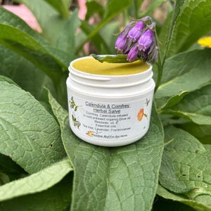 Herbal Salve, Calendula, Comfrey, Balm, Organic, Essential oils