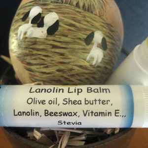 May include: A white tube of Lanolin Lip Balm with blue text that reads "Lanolin Lip Balm, Olive oil, Shea butter, Lanolin, Beeswax, Vitamin E.,, Stevia". The tube is sitting on a brown surface with a painted egg in the background.