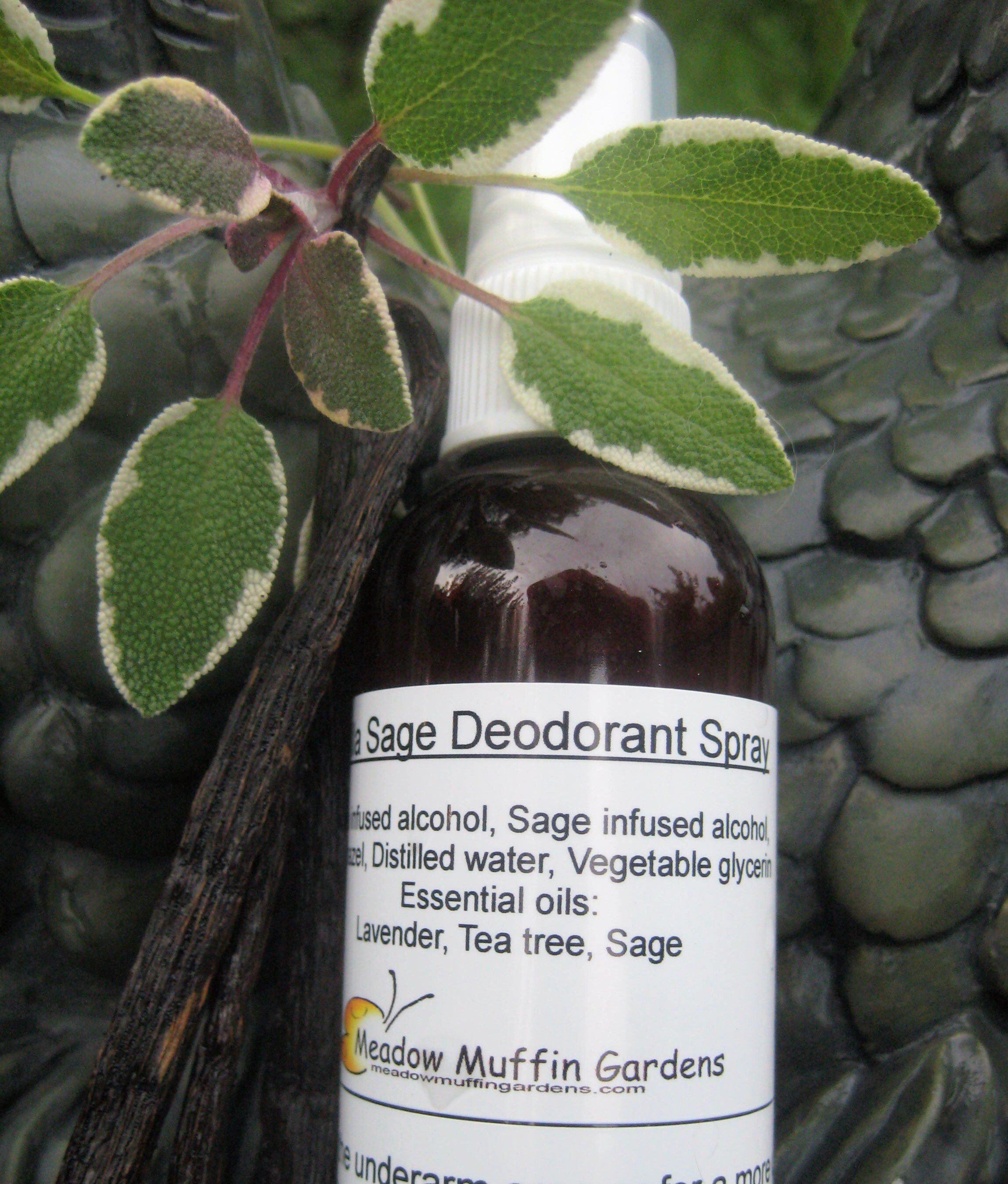 Can Dogs Smell Alcohol