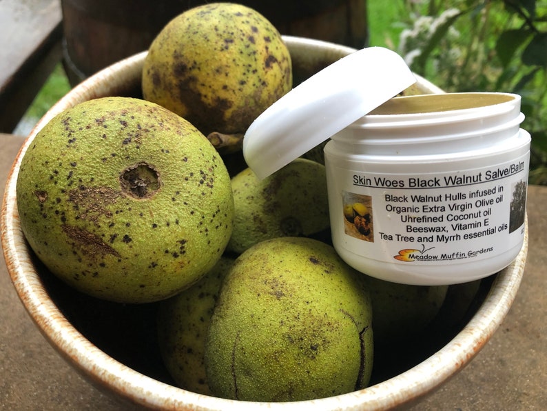 Black Walnut Hull Skin Issues Salve/Balm, Juglans nigra, Coconut oil, Tea Tree and Myrrh essential oils image 4