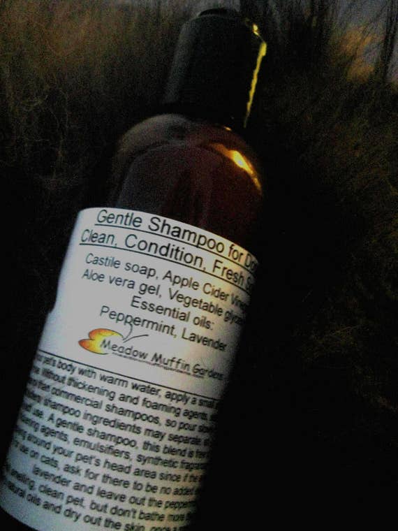 Pet Shampoo Gentle Clean Condition Dog Care Bronner s Castile Aloe Etsy