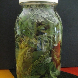 May include: A clear glass jar with a white lid filled with a variety of green and brown herbs and leaves.
