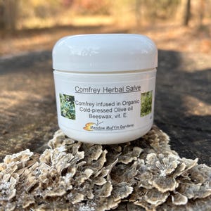 Comfrey Herbal Salve, Organic