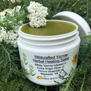 Yarrow, Wild White, Herbal Salve, Wildcrafted, Organic, Herbal oil image 3