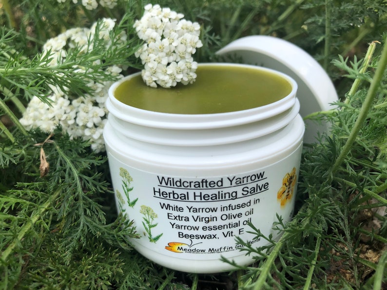 Yarrow, Wild White, Herbal Salve, Wildcrafted, Organic, Herbal oil image 3