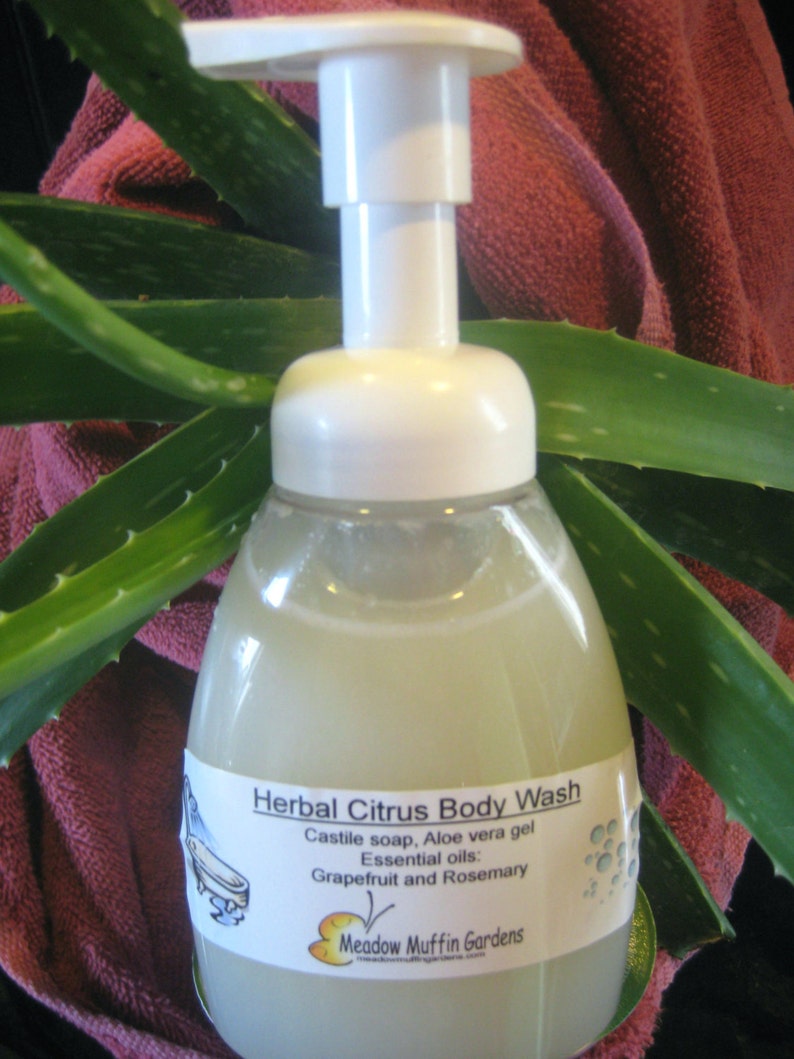 Herbal Citrus Body Wash Shaving Cream Castile Soap & Aloe Etsy