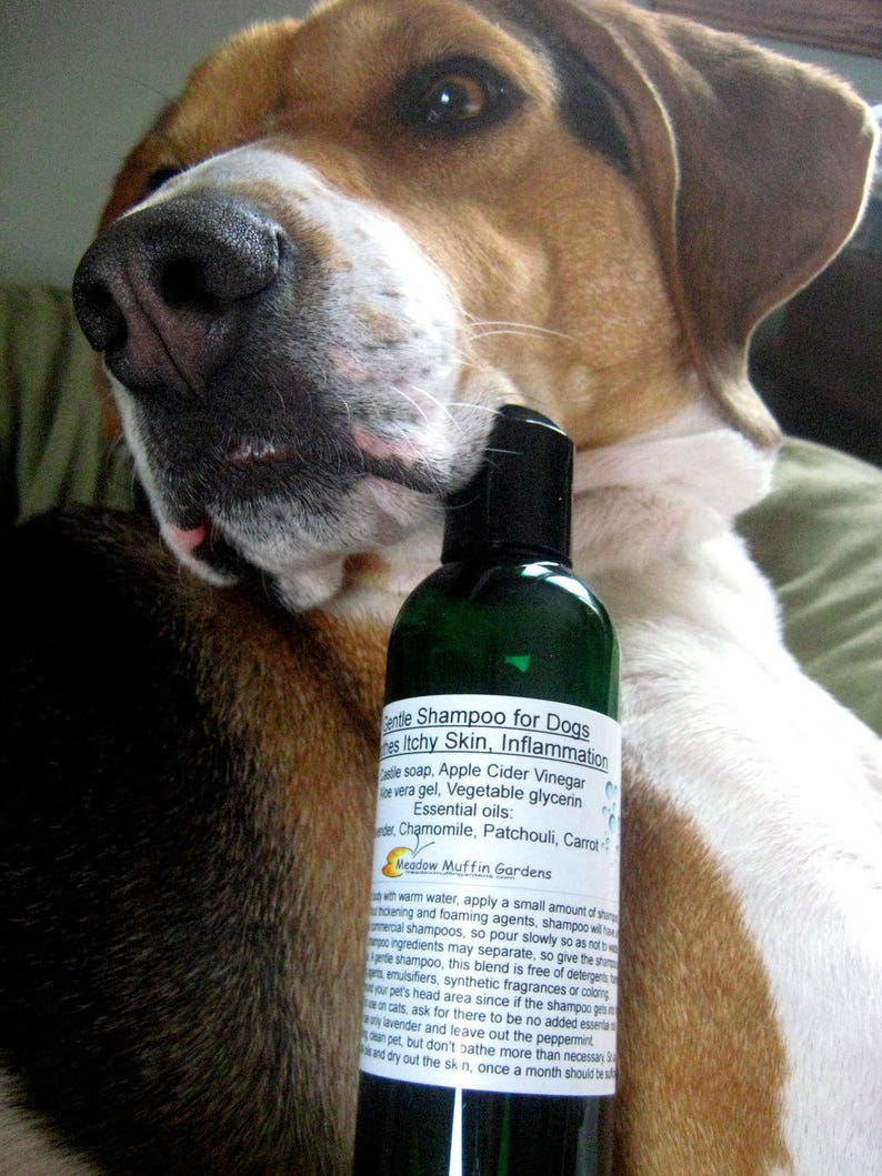 Pet Shampoo Irritated Skin Care Dog Care Gentle Bath Soap Etsy