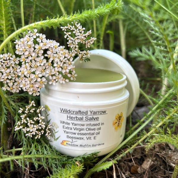 Yarrow, Wild White, Herbal Salve, Wildcrafted, Organic, Herbal oil
