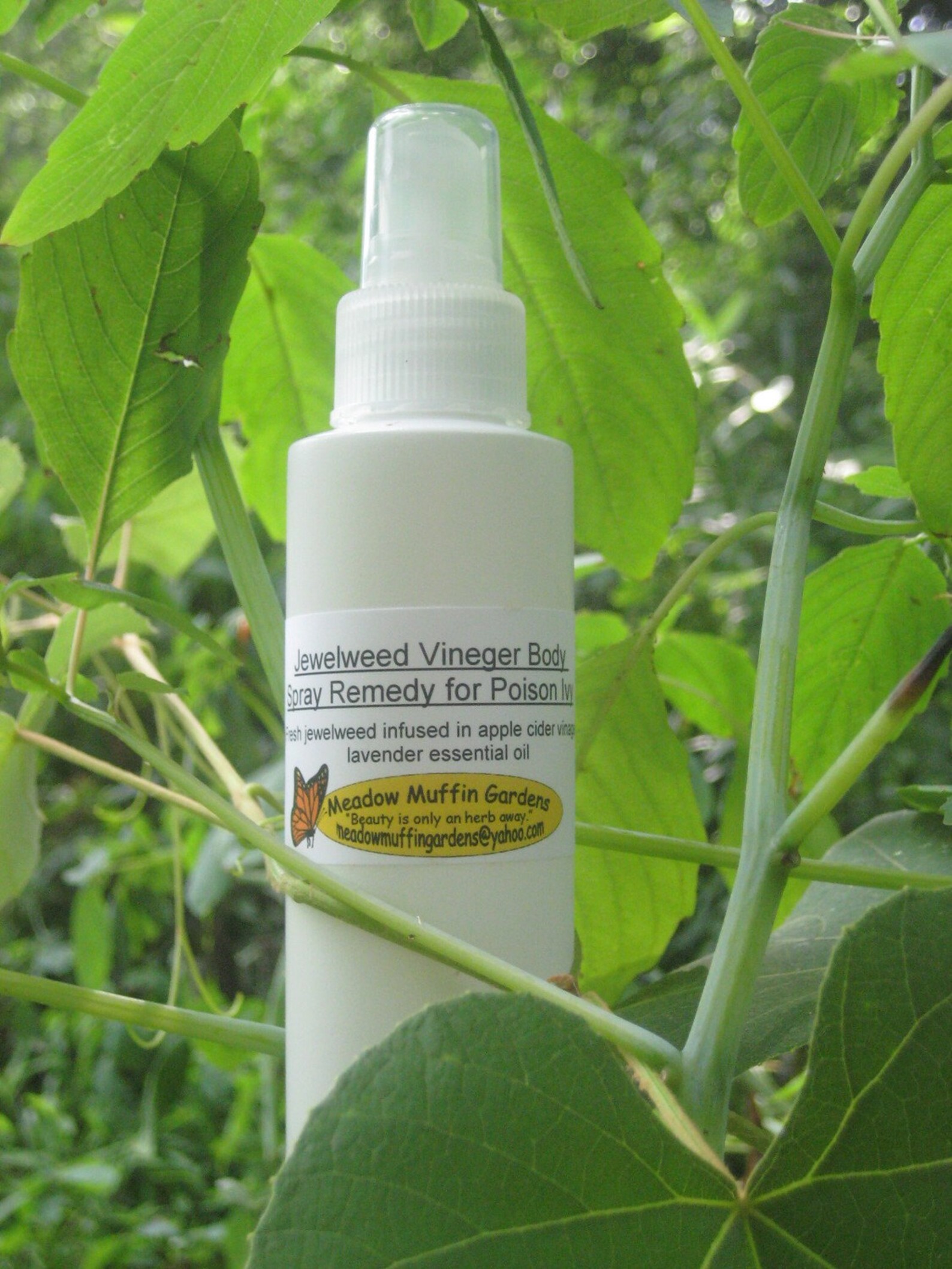 Jewelweed Vinegar Spray Poison Ivy Stinging Nettles Etsy
