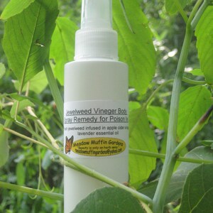 Jewelweed Vinegar Spray, Poison Ivy, Stinging Nettles image 2